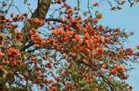  Beautiful Tears and Benefits ...