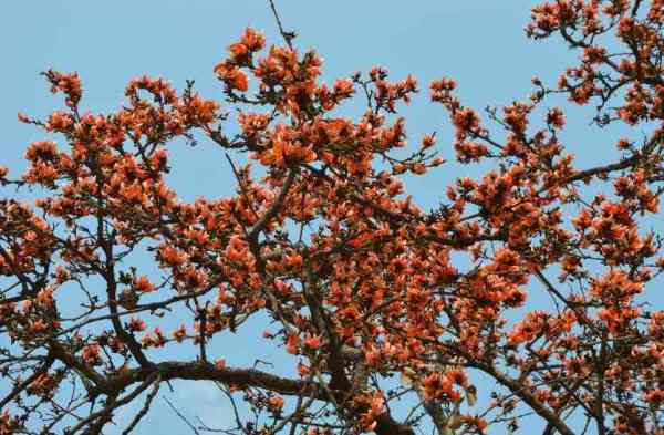  Beautiful Tears and Benefits ...