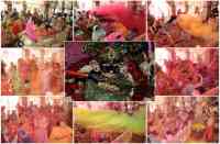 holi celebrations in jodhpur
