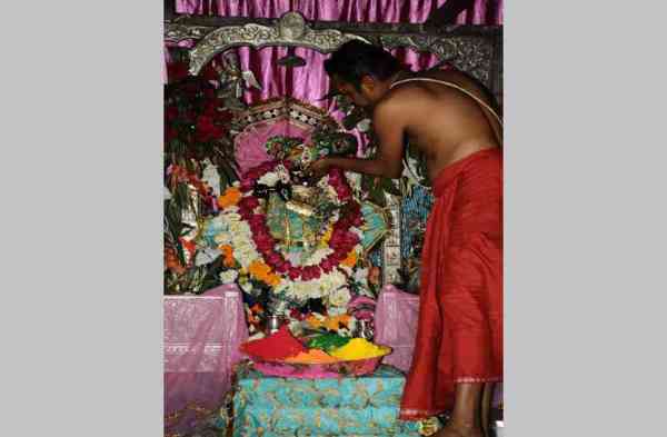 holi celebrations in jodhpur