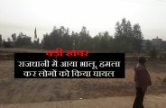bhalu