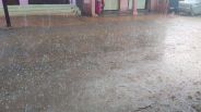 Rainfall here in Madhya Pradesh, then fall down