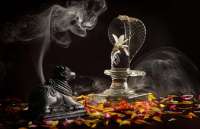 how to worship shiva