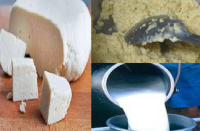 fake paneer milk and mewa