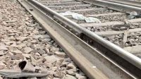 the-worker-died-in-a-thresher-dead-bodies-threw-on-tracks