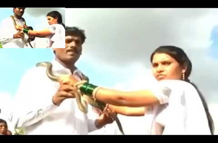 Maharashtra,Wedding,snakes,couple,python,garlands,