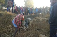 Elephant fell into the well