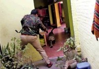 Leopard Abhimanyu killed by police in Lucknow conflict news