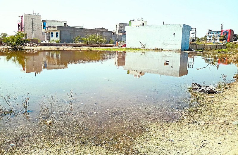 Kota Hanging Bridge on Chambal River Kota Chambal Bridge Kota Hanging Bridge On Chambal Kota Chambal Tigers railway hospital from Borkheda and the cana kota ' kota chambal rivar Borkhekha, Krishna Vihar Pratap Nagar Paswanath Nagar Surya Nagar Khari Baadi Raza Nagar Rang Talab Lakshmi Bihar Tapohit Ki Ki Tapri Adarsh Nagar, Poonam Colony kota news rajasthan patrika news update news letest news hadoti news