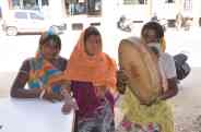 holi news,Rajsamand Hindi news,rajsamand letest hindi news,