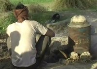 पूरा एक सिंडीकेट इस कार्य को अंजाम दे रहा, बच्चे और महिलाओं को लगाया गया 