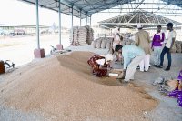 Fraud with farmers in krishi upaj mandi