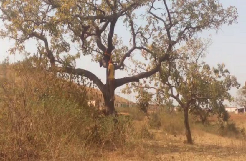 Three people die in chhindwara