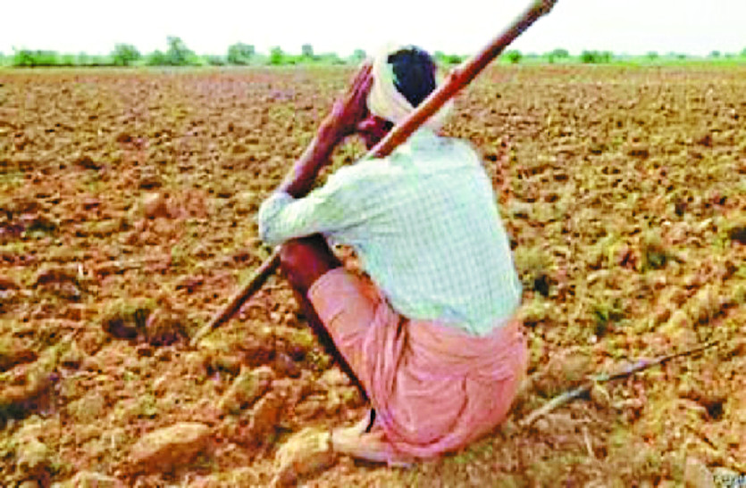 kisan