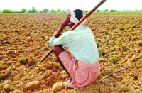 kisan