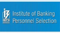 ibps jobs
