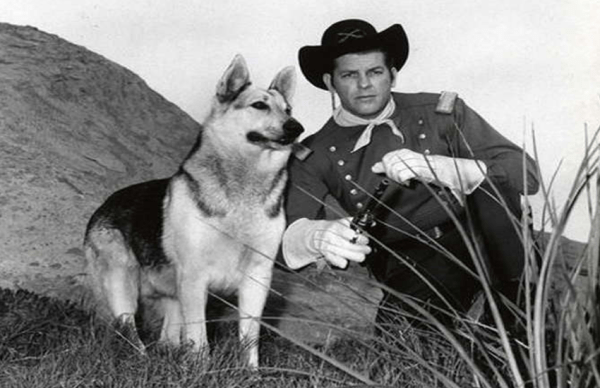 किसी अभिनेता को नहीं बल्कि एक कुत्ते को मिलने वाला था पहला आॅस्कर अवॉर्ड