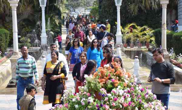 tourists in udaipur