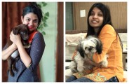 pet lover cg 