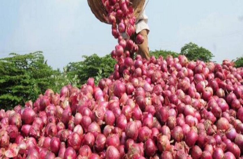 Case of onion storage in Katni reached assembly