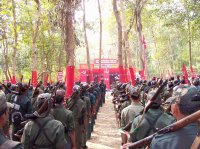 Naxal movement increased due to arrival of Tendu patta-bamboo