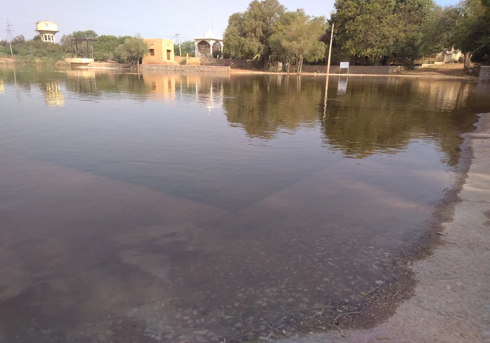 phalodi-shivsar-pond-in-crisis