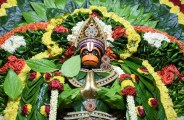 Betel leaf 