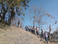 suicide case falasiya udaipur