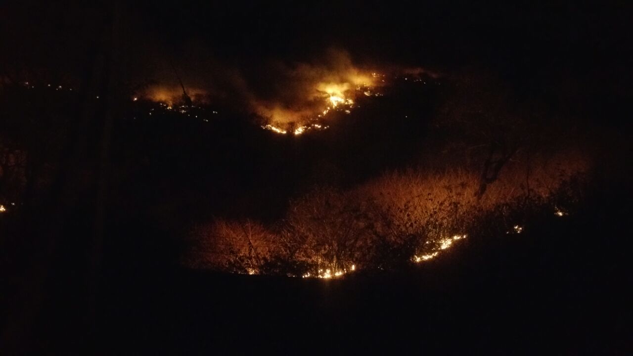 Fire in udaipur jungle