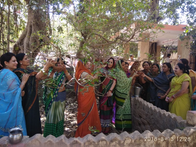 PATRIKA CAMPAIGN: bird friend ....Binds Prinde the trees in the garden