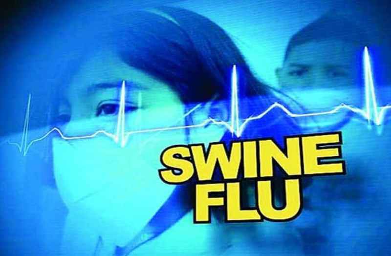 Bhilwara, bhilwara news, teacher suffering from Swine flu in bhilwara, Latest news in bhilwara, Bhilwara News in hindi, Hindi News in bhilwara, Latest hindi news in bhilwara