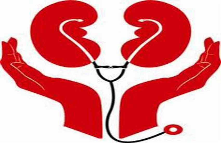 Diabetes and blood pressure are the major causes of kidney damage