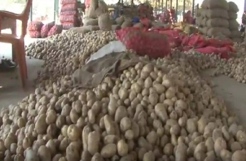 Farmers not selling potato on aloo mandi in farrukhabad