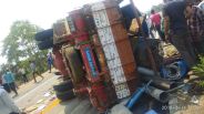 Four killed, four injured