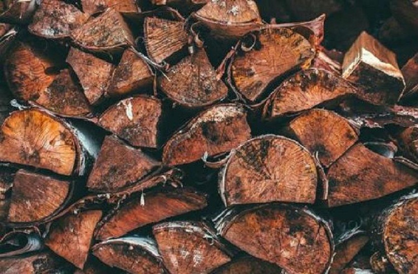 600 kg logs of Red sanders seized in chennai