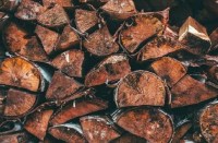 600 kg logs of Red sanders seized in chennai