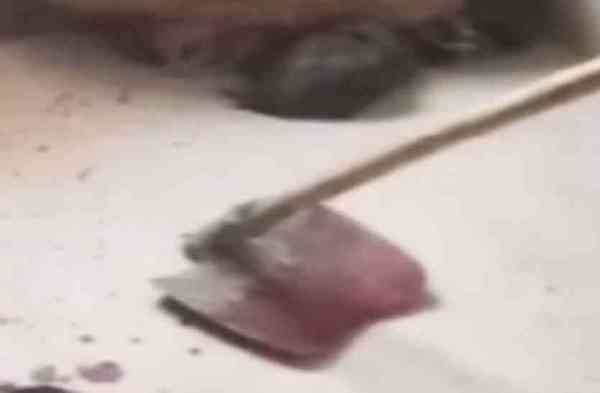 Murder in sikar rajasthan