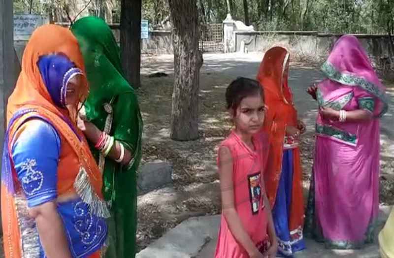 Bhilwara, bhilwara news, Honey bees attack, 60 injured in bhilwara, Latest news in bhilwara, Bhilwara News in hindi, Hindi News in bhilwara, Latest hindi news in bhilwara