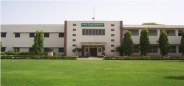Former employees of agricultural universities pension udaipur