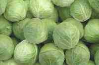 पत्तागोभी