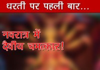 two headed and four eyes calf