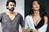prabhas and pooja hegde