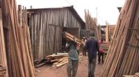 timber market