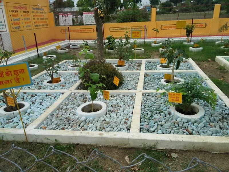 Acupressure Park, Fine Diseases, Gayatri Shaktipeeth