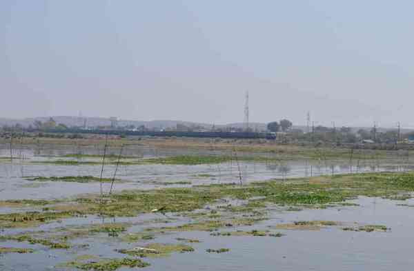 Porno Mal Ru Qabilalar bilan porno jinsiy aloqa