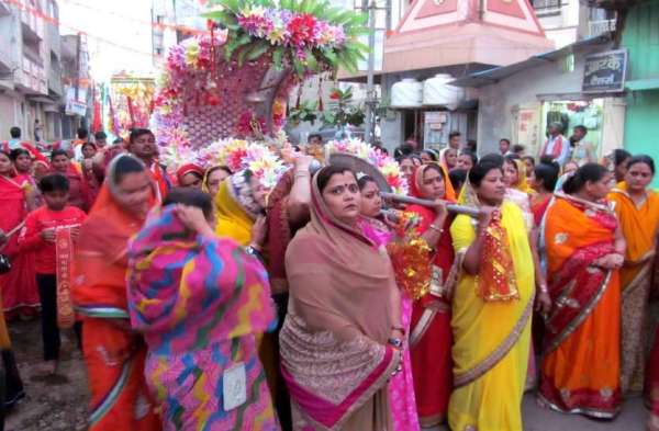 पालकी में विराज माता रानी