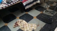 crime in udaipur