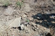 janjgir champa industries,janjgir police,murder in janjgir,crime in janjgir police,