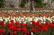 Srinagar's Indira Gandhi Memorial 