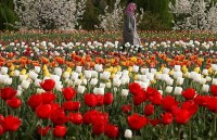 Srinagar's Indira Gandhi Memorial 